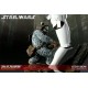 Star Wars Diorama Fall of the Empire (Ewoks vs Stormtrooper)